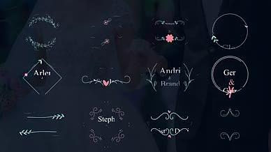 12组高端婚礼复古花纹文字装饰标题排版视频的预览图